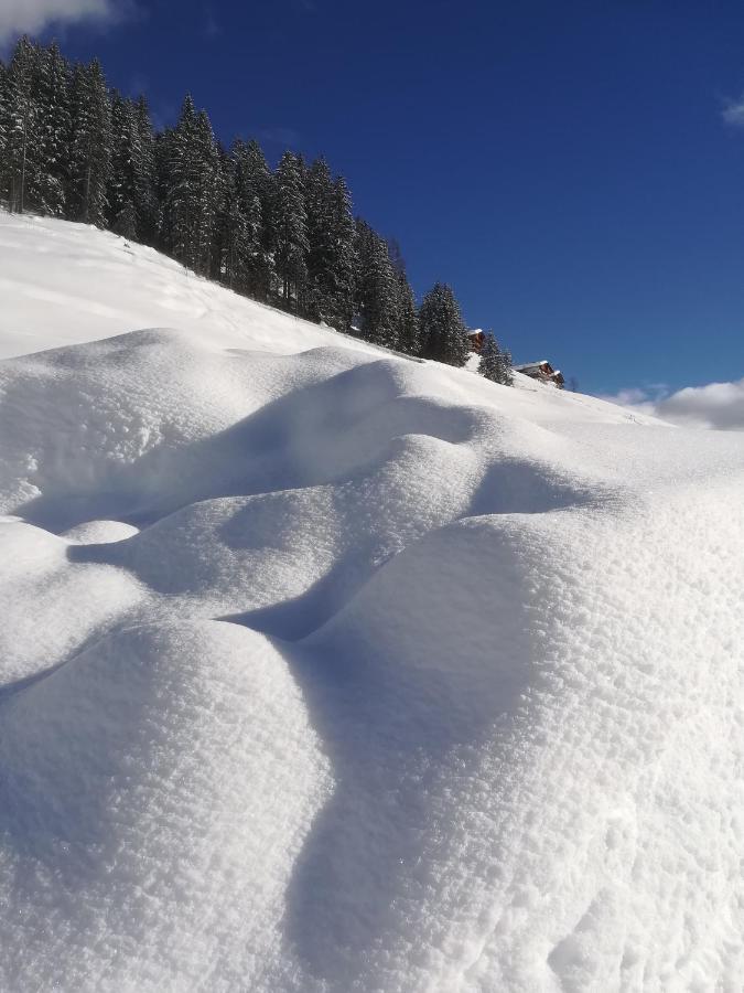 Ausserwalderhof Innervillgraten Dış mekan fotoğraf